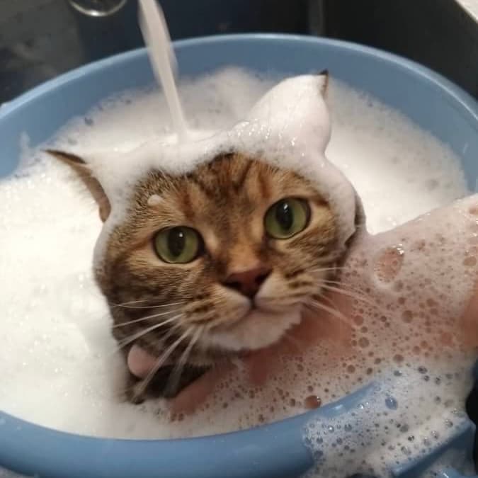 ホテルの様子②