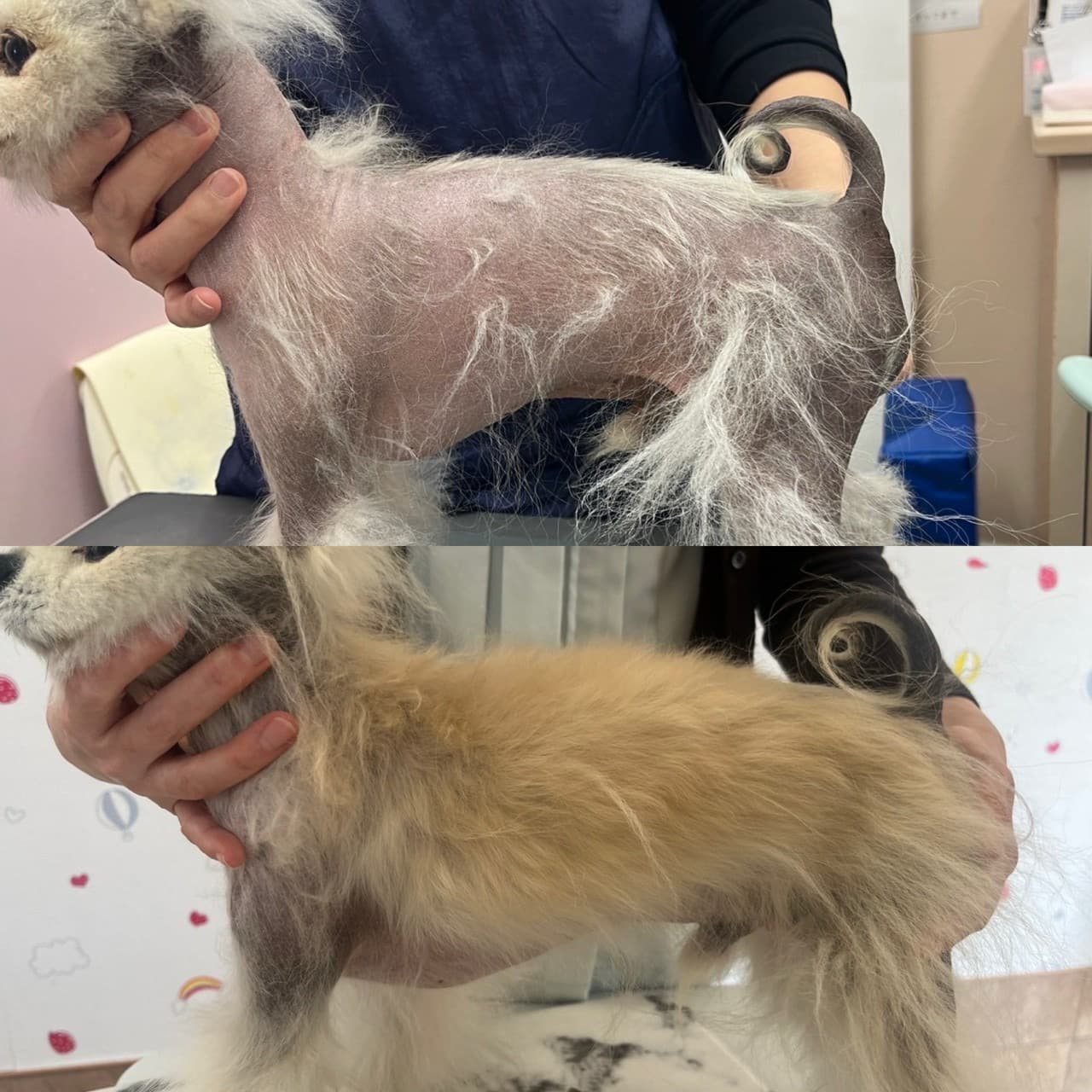 皮膚科診療